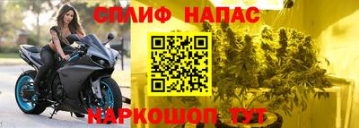 гидра Ливны
