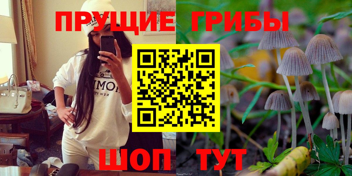 Шахты  Псилоцибиновые грибы Cubensis  Вход с VPN 