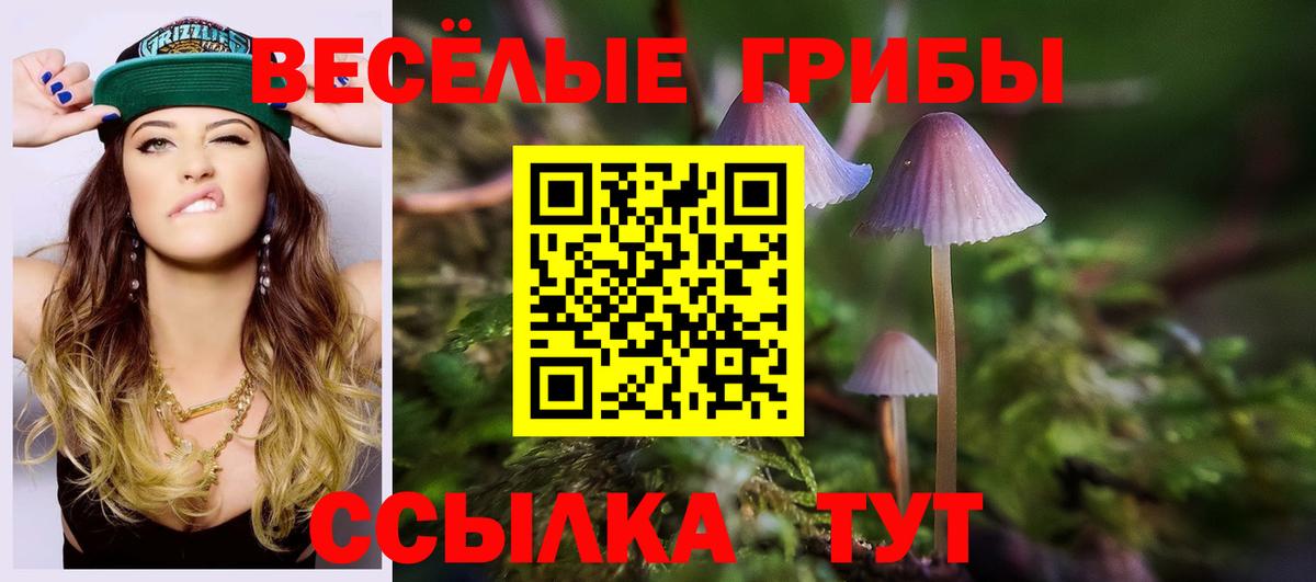 Псилоцибиновые грибы прущие грибы Шахты